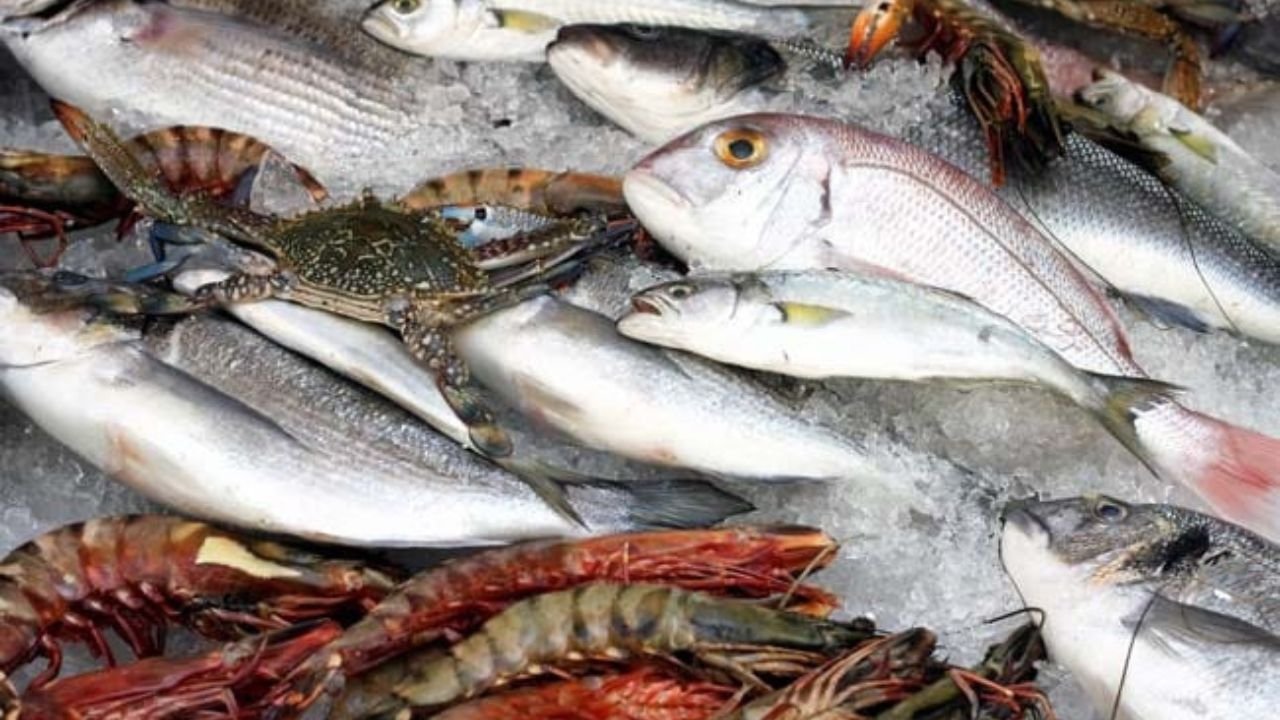 अमेरिका का 50% टैरिफ ओडिशा के मछली उद्योग पर भारी पड़ा, 15 लाख लोगों की आजीविका खतरे में